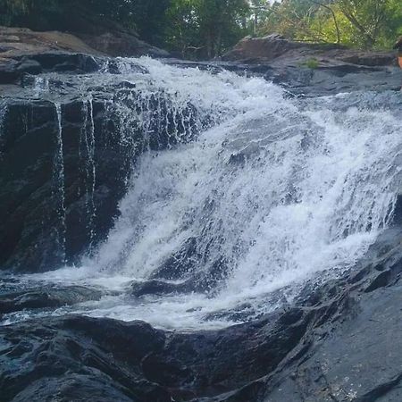 Tropical Camping Wayanad Hotell Meppādi Eksteriør bilde