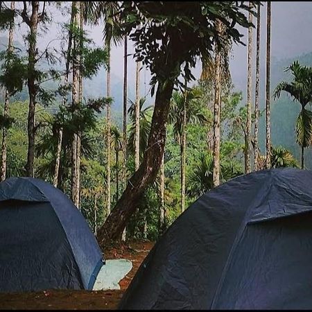 Tropical Camping Wayanad Hotell Meppādi Eksteriør bilde