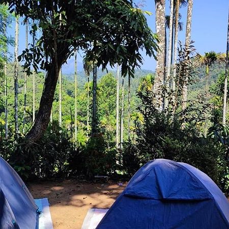 Tropical Camping Wayanad Hotell Meppādi Eksteriør bilde