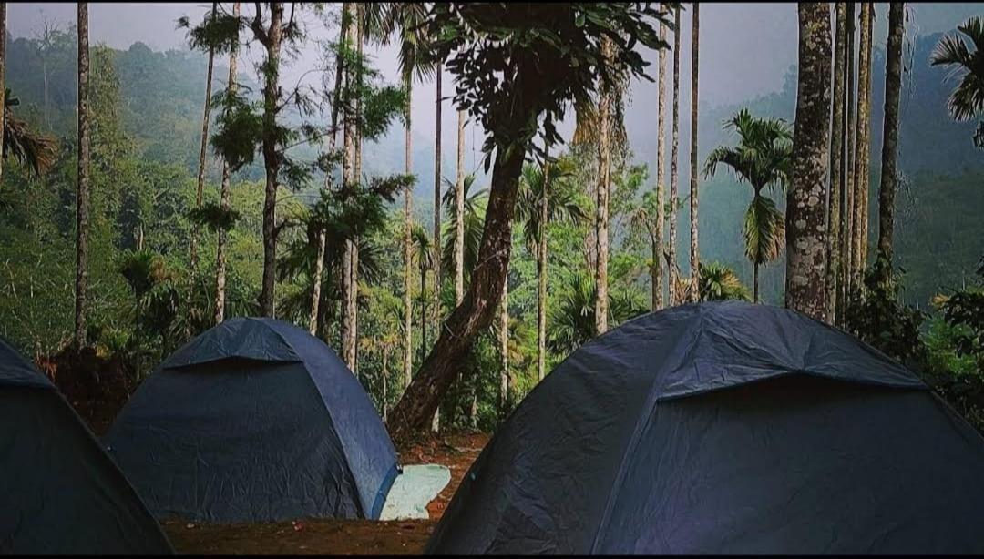 Tropical Camping Wayanad Hotell Meppādi Eksteriør bilde