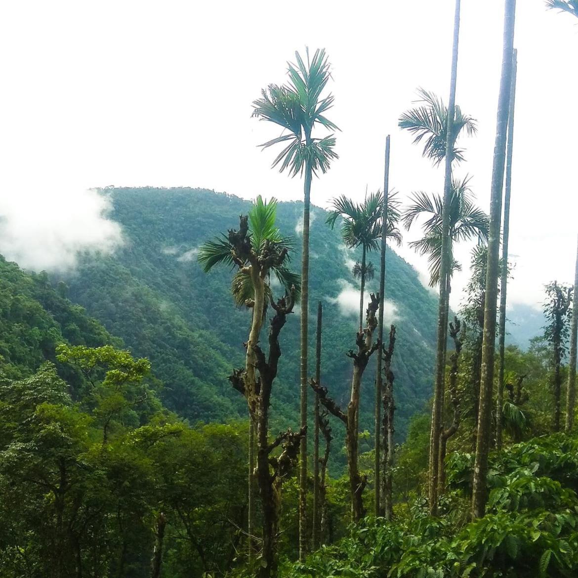 Tropical Camping Wayanad Hotell Meppādi Eksteriør bilde