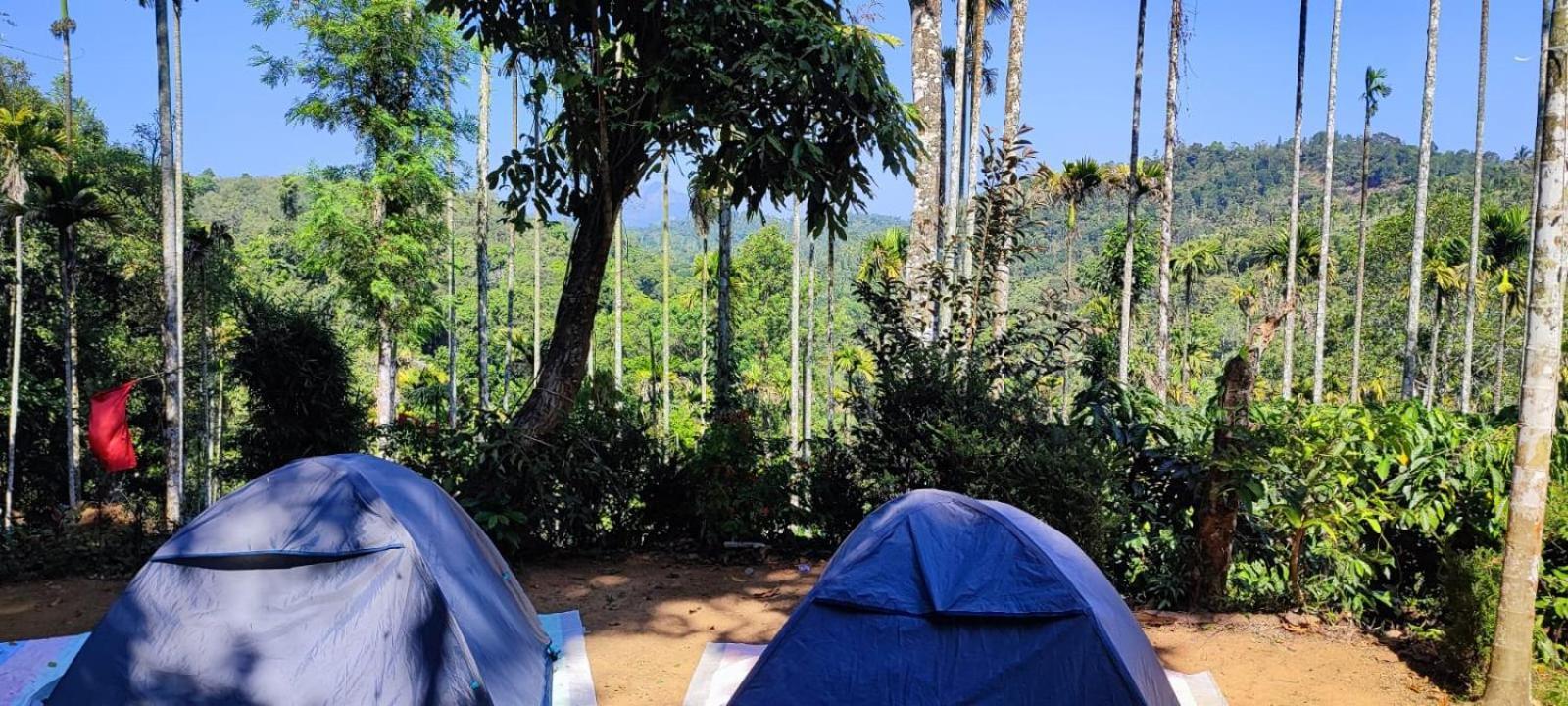 Tropical Camping Wayanad Hotell Meppādi Eksteriør bilde